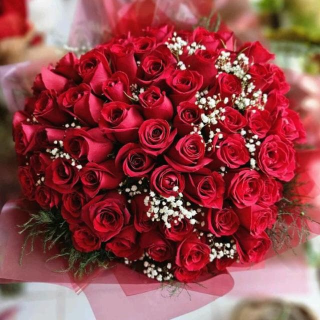 🌹𝕽𝖔𝖘𝖆 𝖉𝖊 𝕾𝖆𝖗𝖔𝖓 🌹