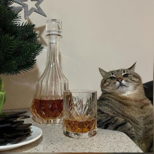 Bar do boca de sacola